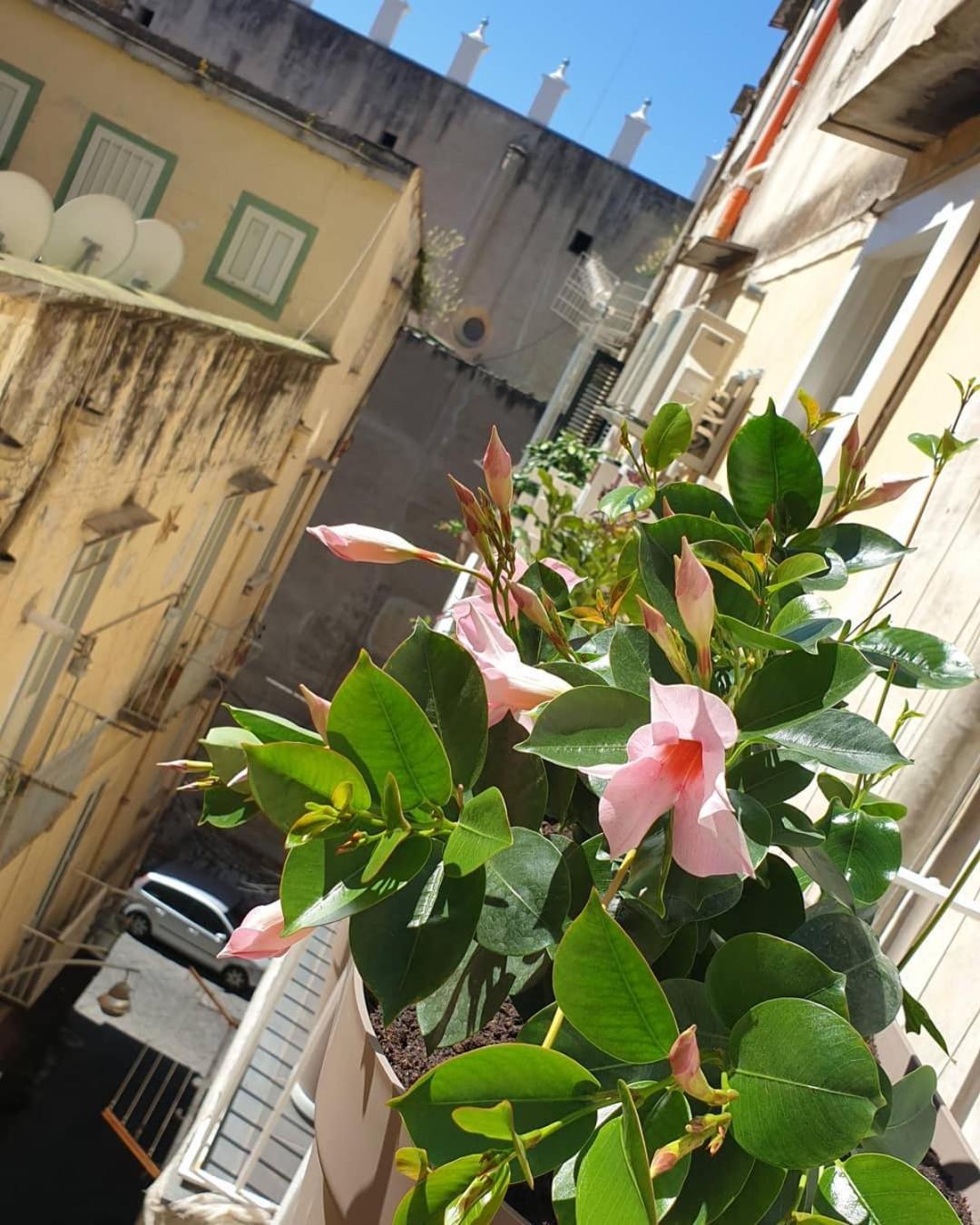 Santa Chiara Inn Naples Exterior photo