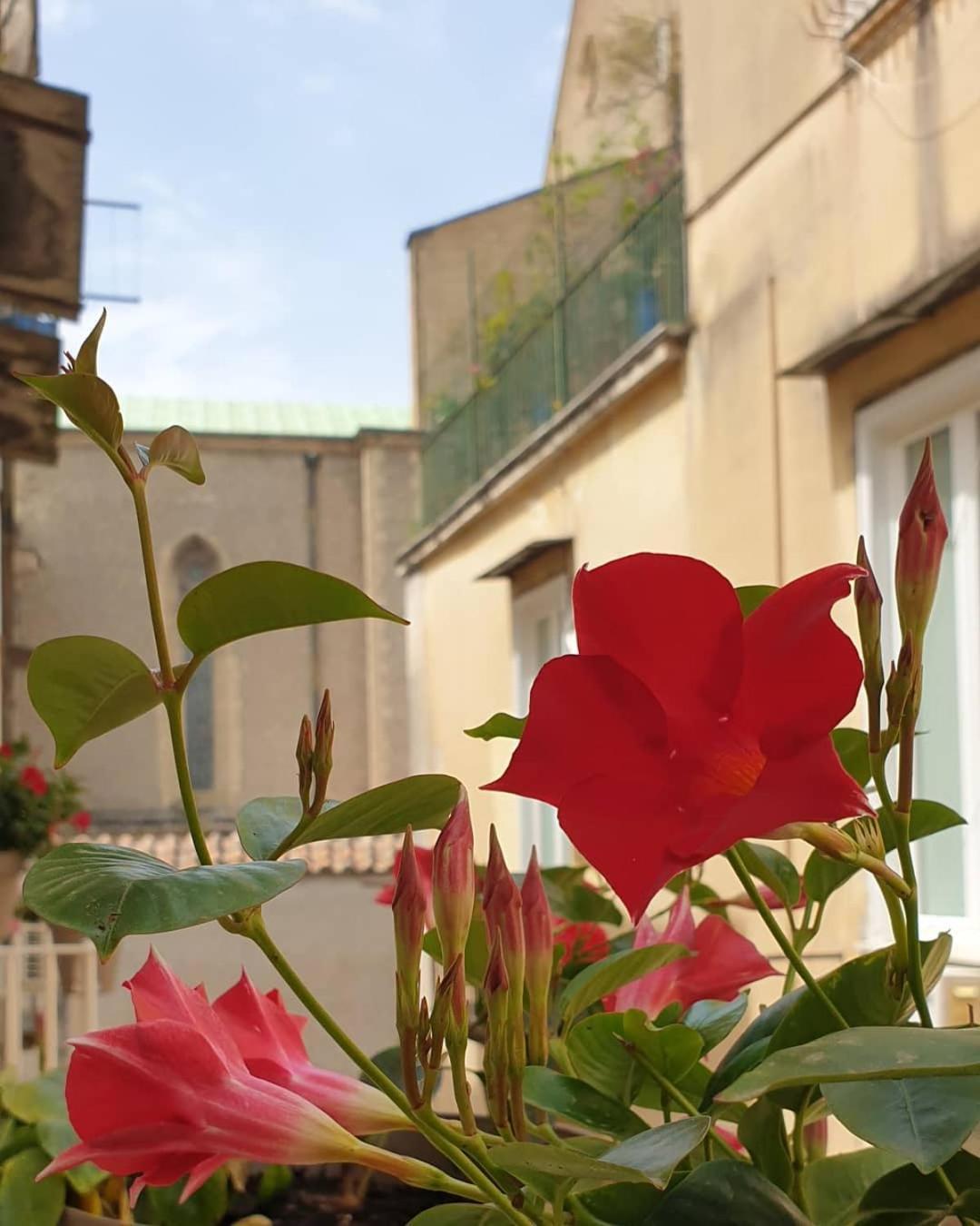 Santa Chiara Inn Naples Exterior photo